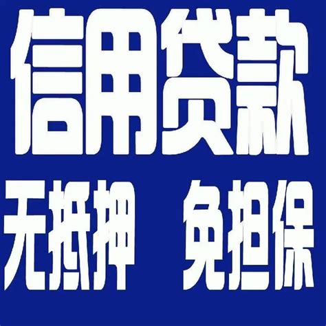 杭州展出百余辆瑕疵车 车主抗议维权艰辛- 中国日报网