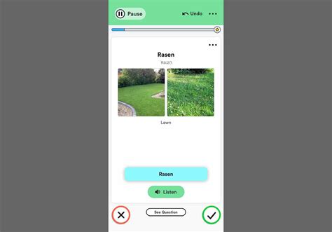 Language Learning Online Apps 的图像结果