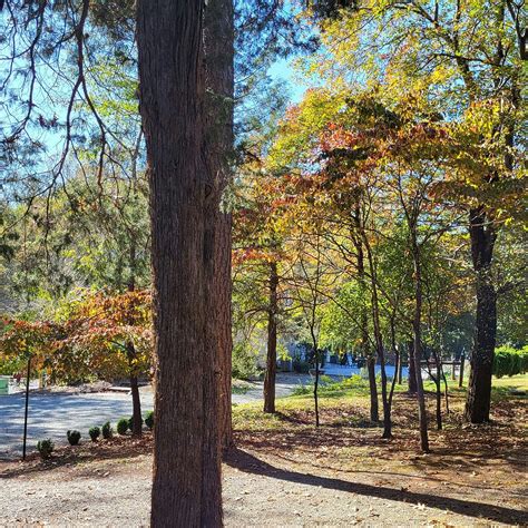 MERIWETHER SPRINGS VINEYARD (2026) All You Need to Know BEFORE You Go ...