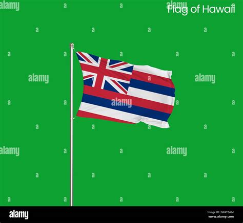 High detailed flag of Hawaii. Hawaii state flag, National Hawaii flag ...