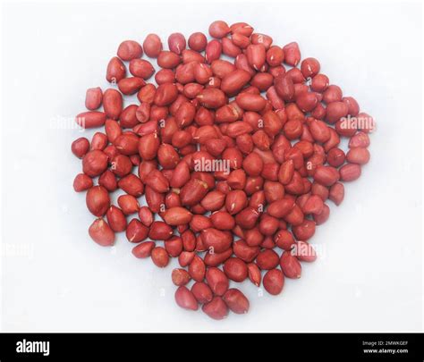 The peanut (Arachis hypogaea), also known as the groundnut, goober (US ...