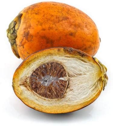 Click to purchase Betel Nut/Supari Plant Price in India - Buy Click to ...