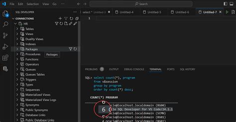 Oracle Developer Vscode JDBC Connection 的图像结果