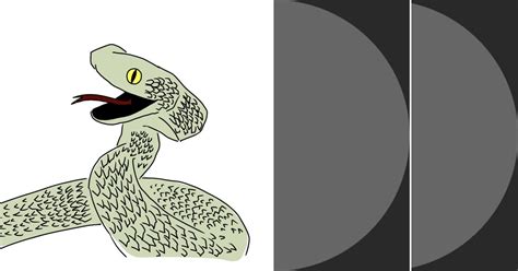 Image result for Things Python