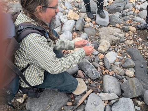 LYME REGIS FOSSIL WALKS (2026) All You Need to Know BEFORE You Go (with ...