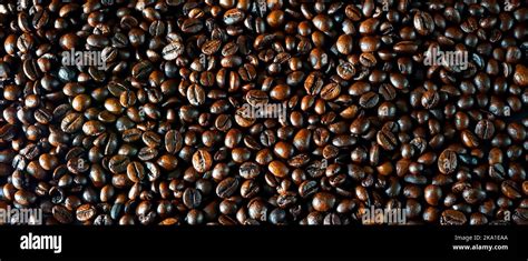 Image result for Java Coffee Beans