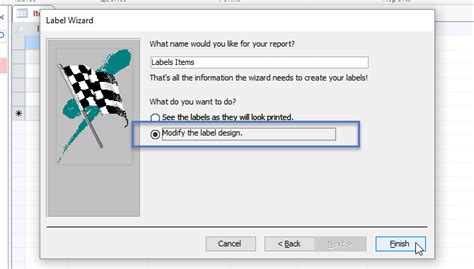 Image result for MS Access Screen Elements with Labels