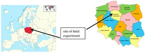 Response of Yellow Lupine to the Proximity of Other Plants and ...