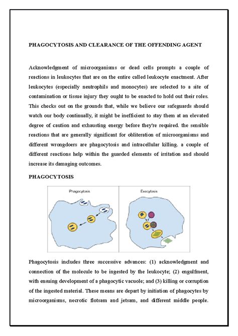 Phagocytosis and Clearance of the Offending Agent - PHAGOCYTOSIS AND ...