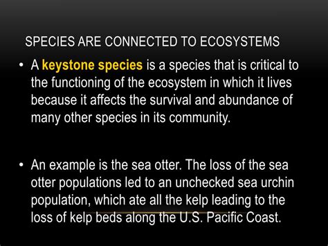 Biodiversity 的图像结果