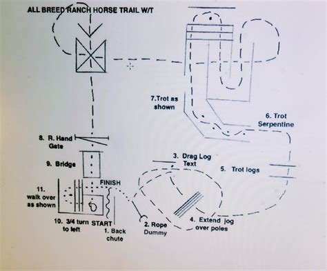In Hand Trail Patterns 的图像结果