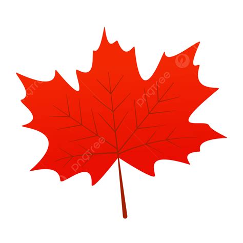 Autumn Maple Leaf Vector Maple Leaves Free Stock Vectors