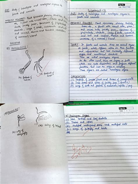 Image result for Practical Biology Experiments
