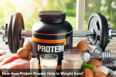 Protein Powder for Weight Gain: Benefits and How it Helps – DiabeSmart