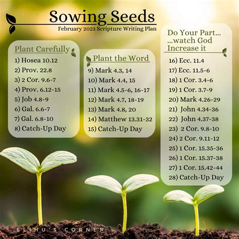 Sowing Seeds: February 2023 Scripture Writing Plan – Elihu's Corner