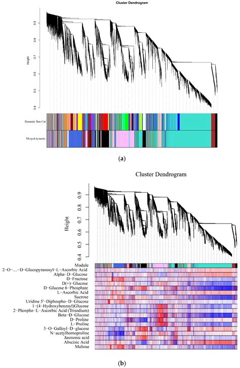 Widely Targeted Metabolomics and Transcriptomics Analysis of the ...