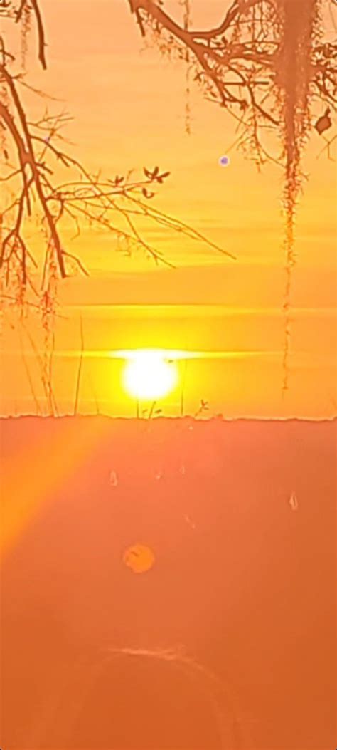 Alien Construct 的图像结果