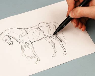 Draw! 的图像结果