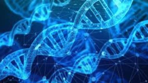 Knowing genetic information can change a person's physiology: Study ...
