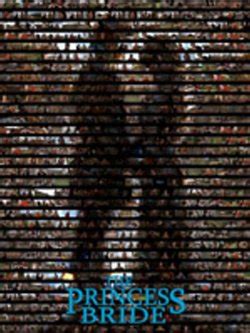 Image result for Princess Bride Montage