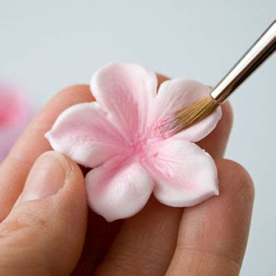 Image result for Sugar Paste Flower Tutorial