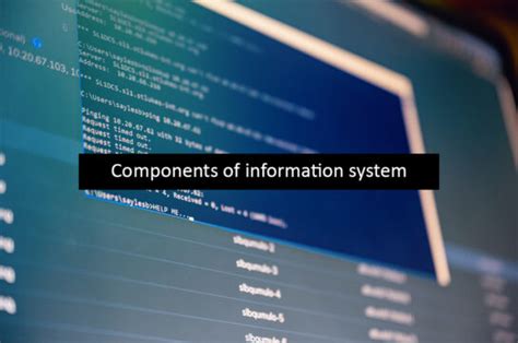 Image result for Two Basic Information System Components