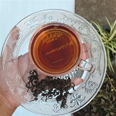 World Record with Highest-Ever GABA Content in Tea – Tailor Made Tea
