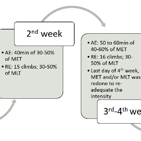 Type of Exercise 的图像结果