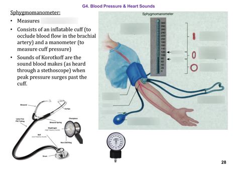 Image result for Using a Sphygmomanometer