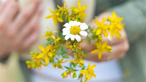 Compressing Spring Fatigue 的图像结果