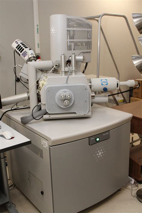 FEI Quanta 600 FE-SEM – Microscopy and Imaging Center