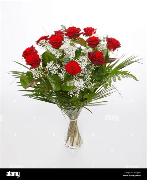 A dozen red roses for Valentines Day. Flowers on a white background ...
