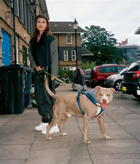 Scary Dog Privilege: meet the hounds empowering and… - The Face