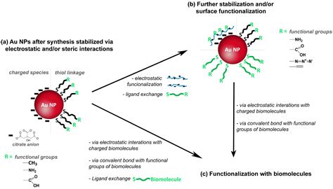 Polymer@gold Nanoparticles Prepared via RAFT Polymerization for Opto ...