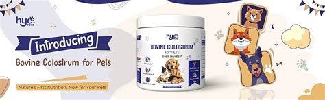 Hye Pets Bovine Colostrum Powder for Dogs & Cats | Allergy & Itchy Skin ...