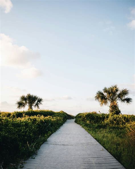 Image result for Best Spring Break