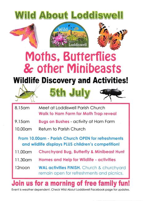 Moths, Butterflies & other Minibeasts Morning of Family Fun, Loddiswell ...