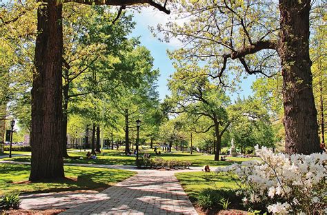 Loyola Maryland Welcome Weekend at Dane Wallace blog