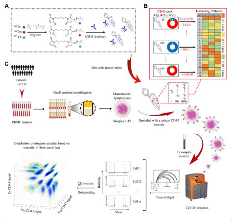 Image result for Barcoding Mass Cytometry