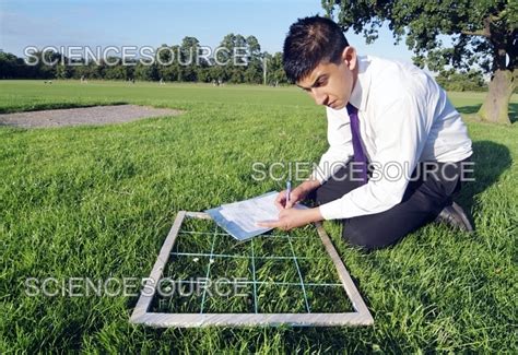 Image result for Free Science Lessons Using Quadrats