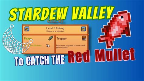 How to catch the Red Mullet in Stardew Valley - YouTube