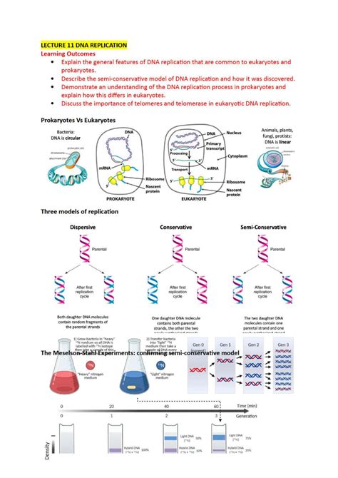 Biochemistry Tutorials 的图像结果