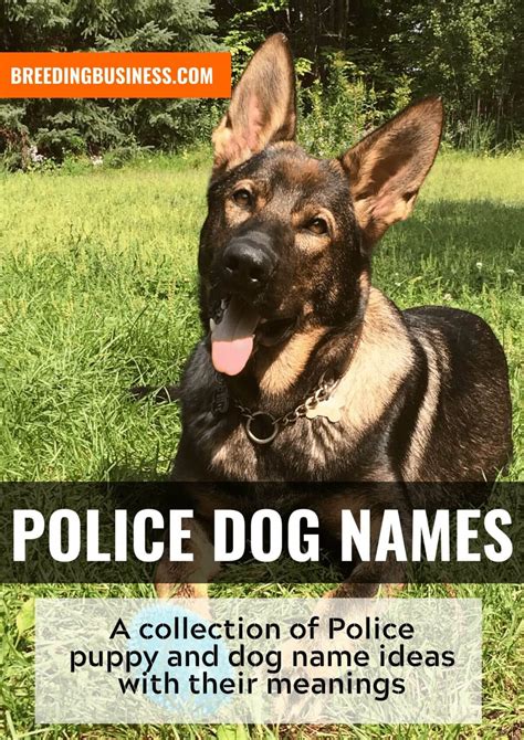 Image result for Code.org Direction