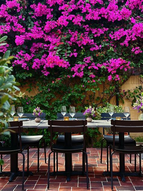 Private Events at a.o.c. — AOC Wine Bar West Hollywood Brentwood