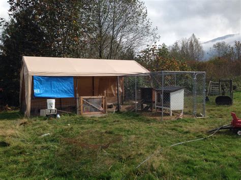 DIY Rabbit Colony 的图像结果