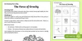 Forces in Action Worksheet
