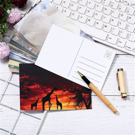Outus 60 Pieces Wild Animal Blank Postcards for India | Ubuy