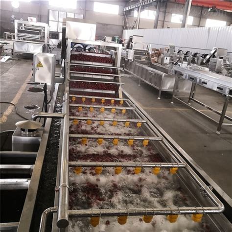 大枣清洗流水线生产商-食品机械设备网