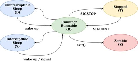 Zombie Process Example 的图像结果