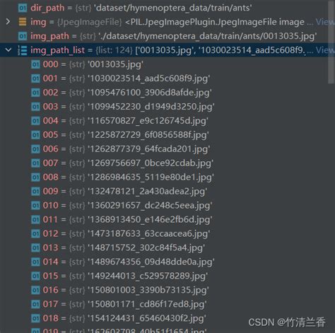 Pytorch Dataset and Data Loader 的图像结果